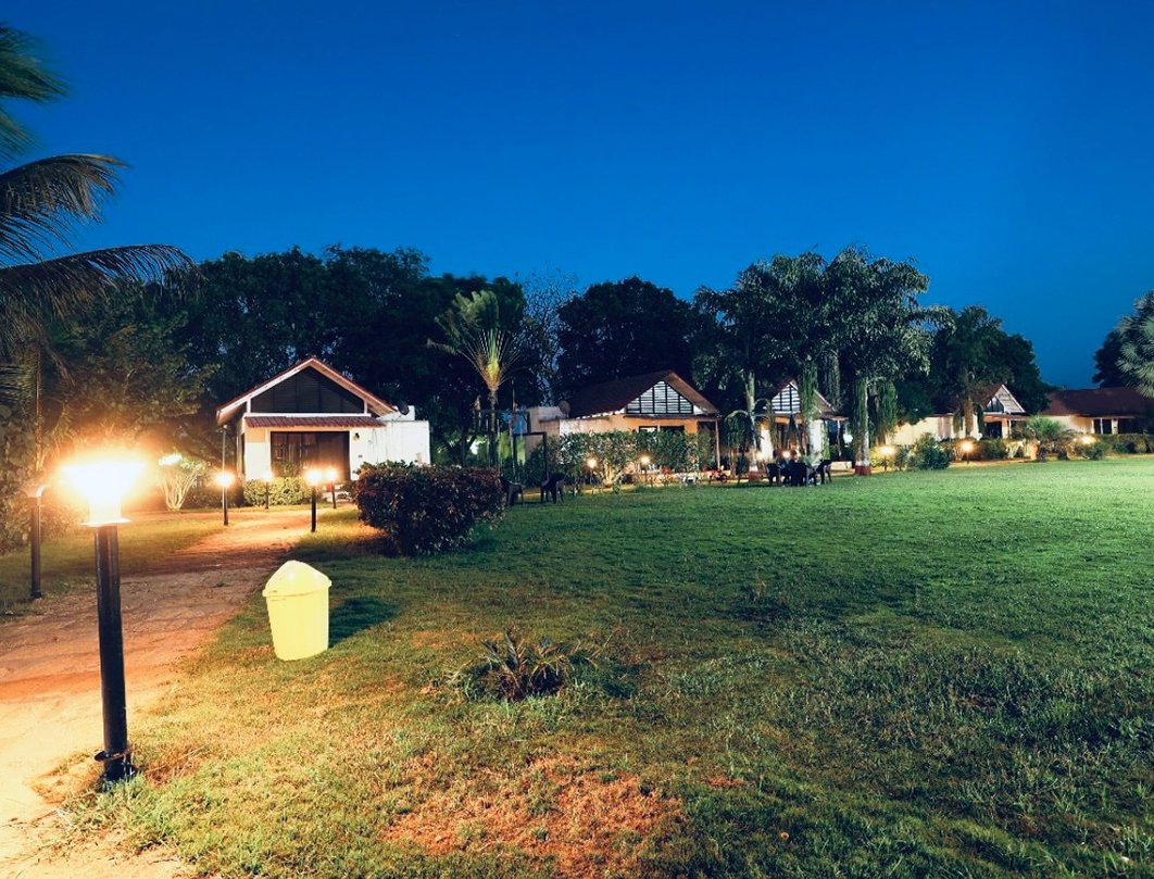banner-image